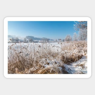 At the Frozen Lake Illmensee - Illmensee, Germany Sticker